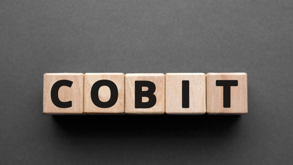 IT Governance mit COBIT: Grundlagen und Anwendungen