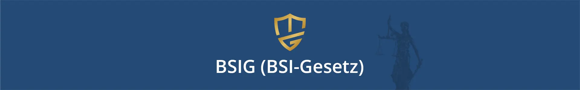 Bild zeigt Logo der Dr. Michael Gorski GmbH und Schriftzug (BSIG (BSI-Gesetz).
